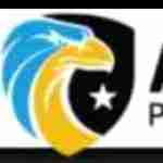 Advanced Professional Security Armed Security Guards