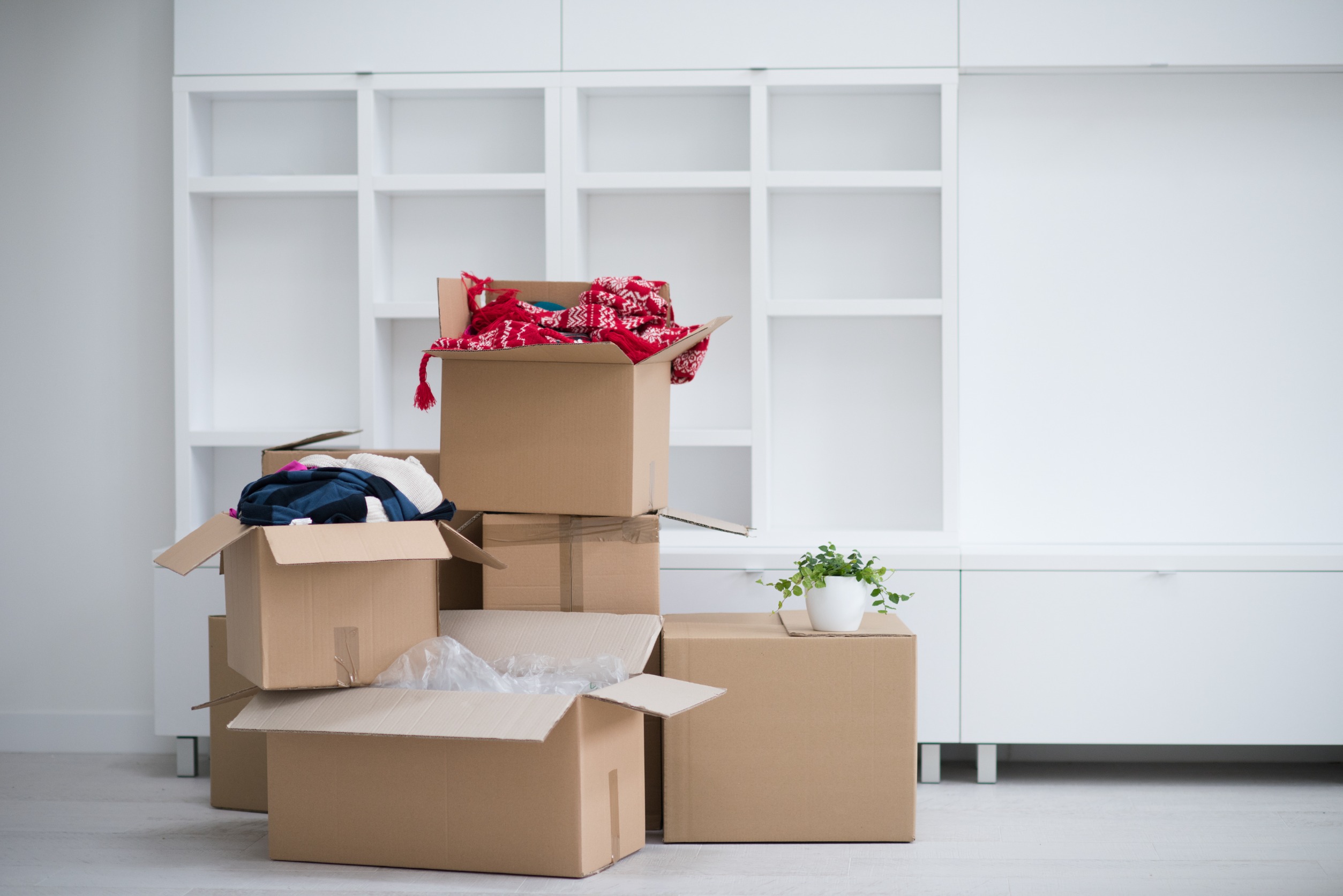 Mastering the Art of Packing to Maximize Space in Moving Boxes - Packeze - America's first choice for signs and boxes