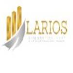 Larios Financial