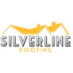 Silverline Roofing Ltd