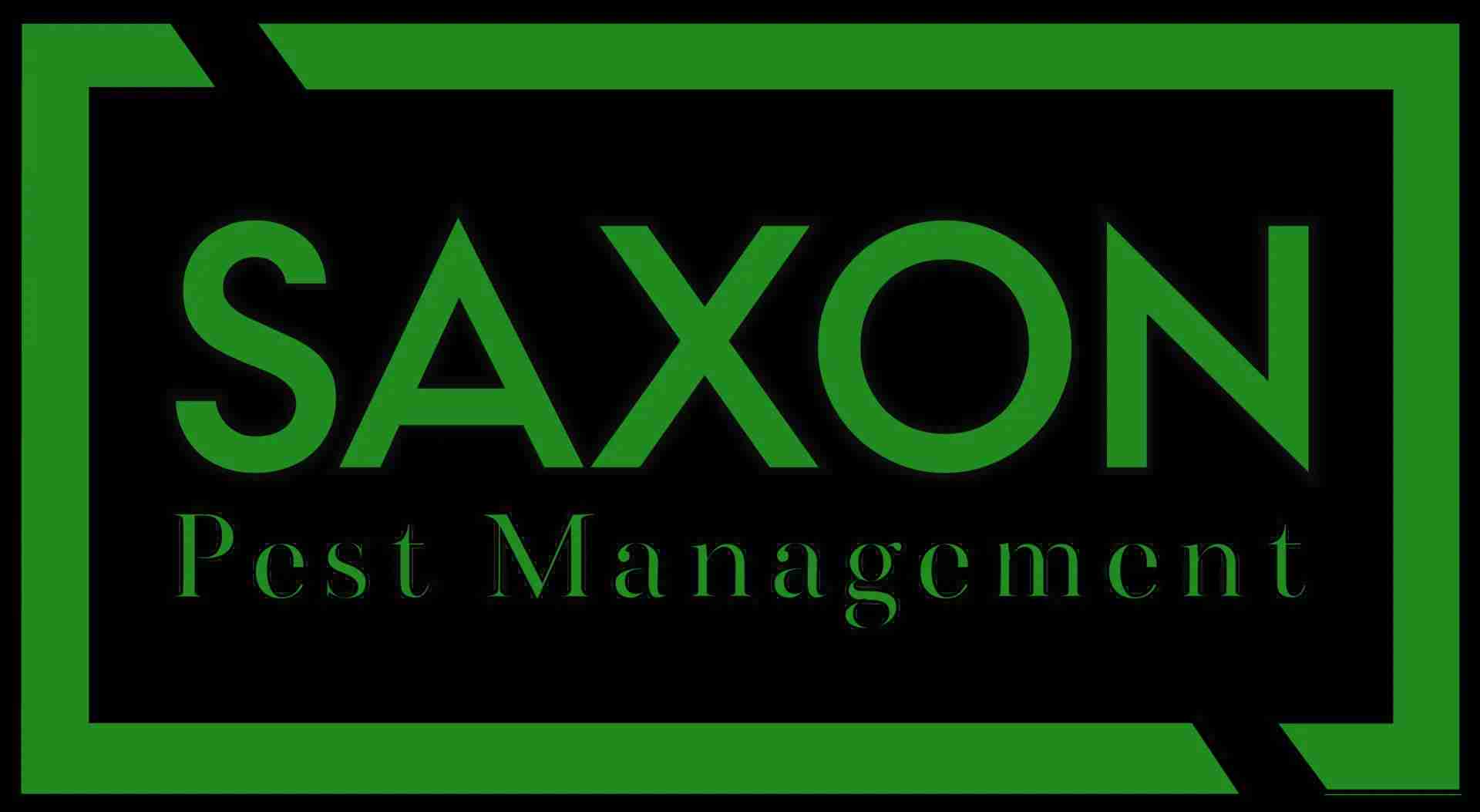 Saxon Pest Management