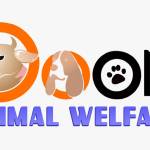 Doon Animal Welfare