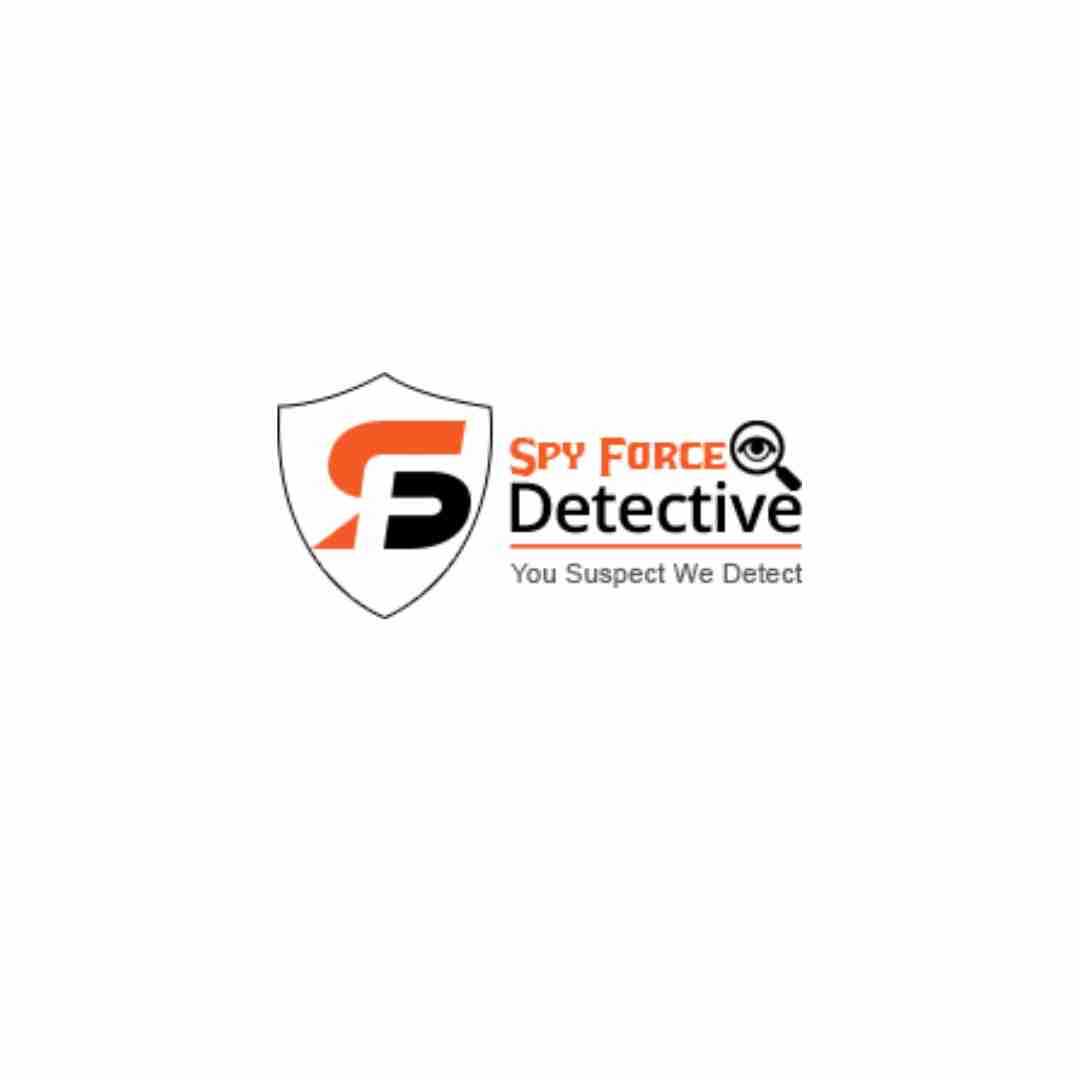 Spy Force Detective