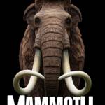 Mammoth Technologies