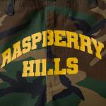 raspberry