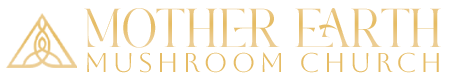 mushroom dispensary in Washington, DC | Lion’s Mane look & feel