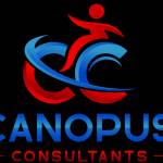 NDIS Canopus Consultant