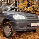 Cash For Junk Car Guy 