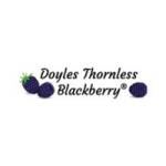Doyle's Blackberry Inc.