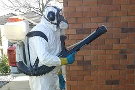 Safe & Reliable Home Pest Solutions in Hamilton Lets Blog