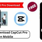 Capcut Pro Apk download