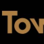 TownX Development