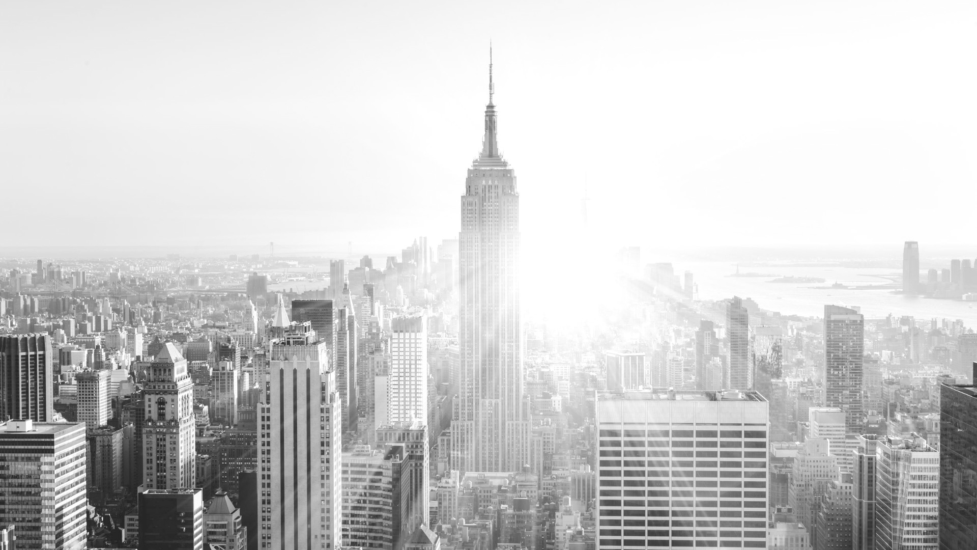PKPR - Big agency results. Bespoke strategies.