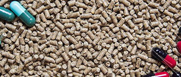 Postbiotics Market Industry Analysis | Types, Advantages, and Forecast