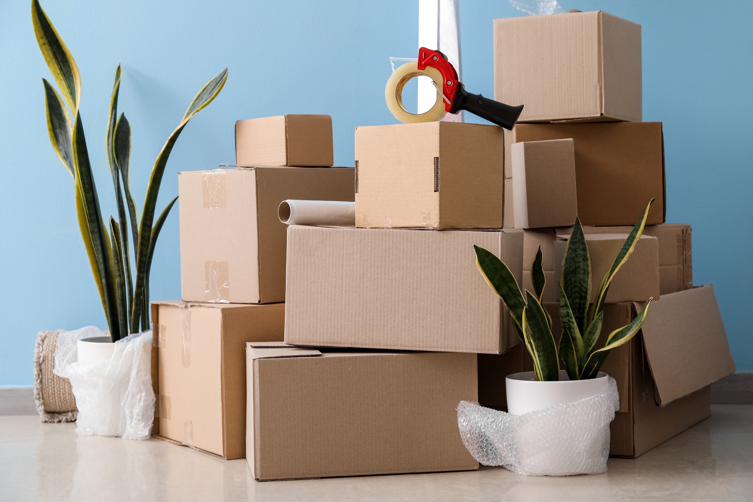 How to Choose the Right Moving Boxes for Your Next Move - Packeze - America's first choice for signs and boxes