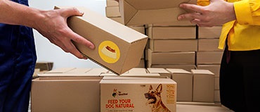 Pet Food Ingredients Market Size, Share, Industry Report, Revenue Trends and Growth Drivers