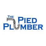 Pied Plumber