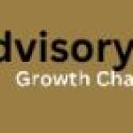 Biz Advisory Board