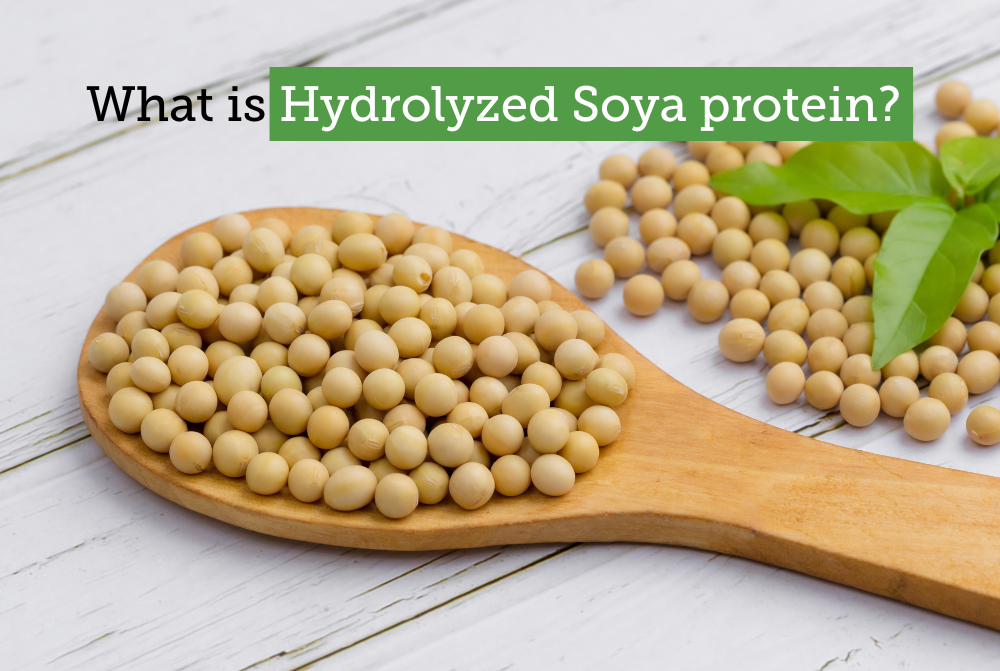 Know what is hydrolyzed soya protein, its uses, benefits, and side effects
