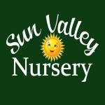 Sun Valley Yard Design