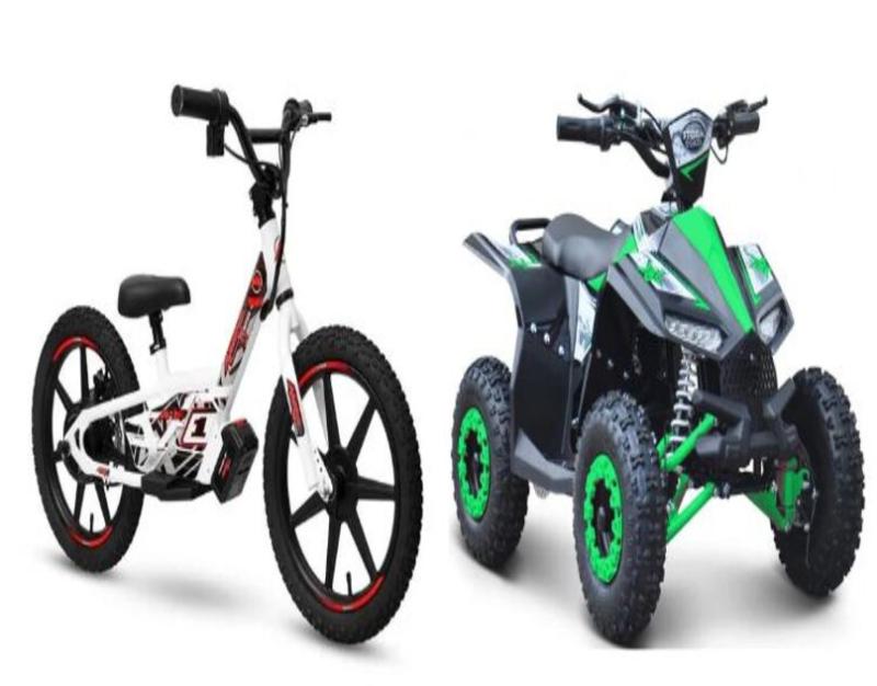 Electric Bikes Review: Are They Worth It?