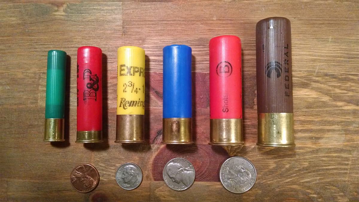 A Guide to Choosing Shotgun Ammunition: Options, Regulations and Other Important Factors
