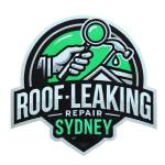RoofLeakingRepairSydney