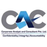 Corporate Analyst and Consultant