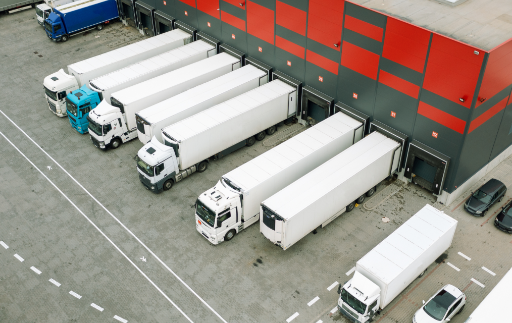 Choosing a 3PL Provider in UAE: Warehouse vs Shipping Services