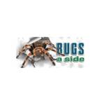 Bugs A Side Pest Control