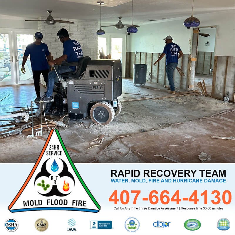 Mold Inspection Orlando FL, Orlando Water Damage Restoration, and Leak Detection Services in Orlando — Trust the Experts at Rapid Recovery Team Orlando | by Rapid Recovery Team Orlando | Sep, 2025 | Medium