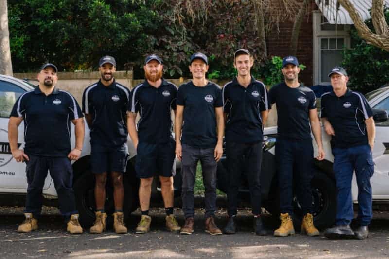 Best Price Termite Inspection & Report - Sydney Area - Pest2kill