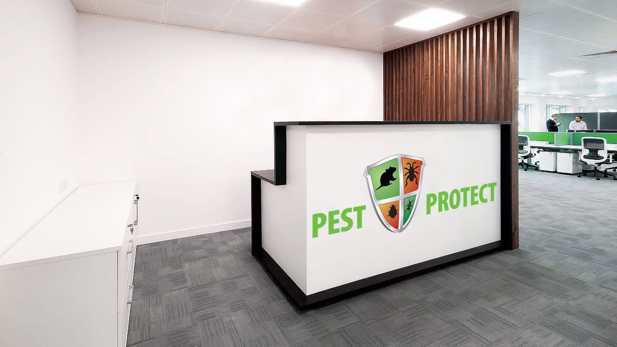 Pest Control London – 24/7 Emergency & Fast Service