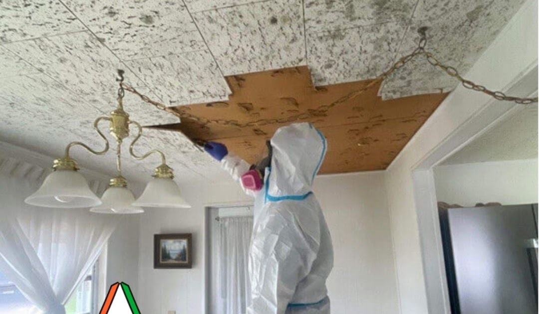 Fire Damage Restoration Tampa, Roof Leak Repair Tampa FL, and Rapid Restore Water Damage by Rapid Recovery Team Tampa