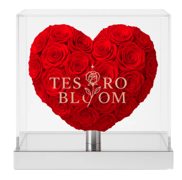 The Ultimate Guide to Preserved Flowers in the USA – Tesoro Bloom