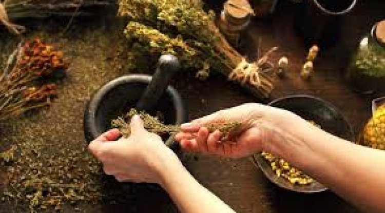 A Beginner’s Guide to Herbal Remedies for Common Health Challenges - Dubai Entertainment