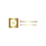 Data Inseyets