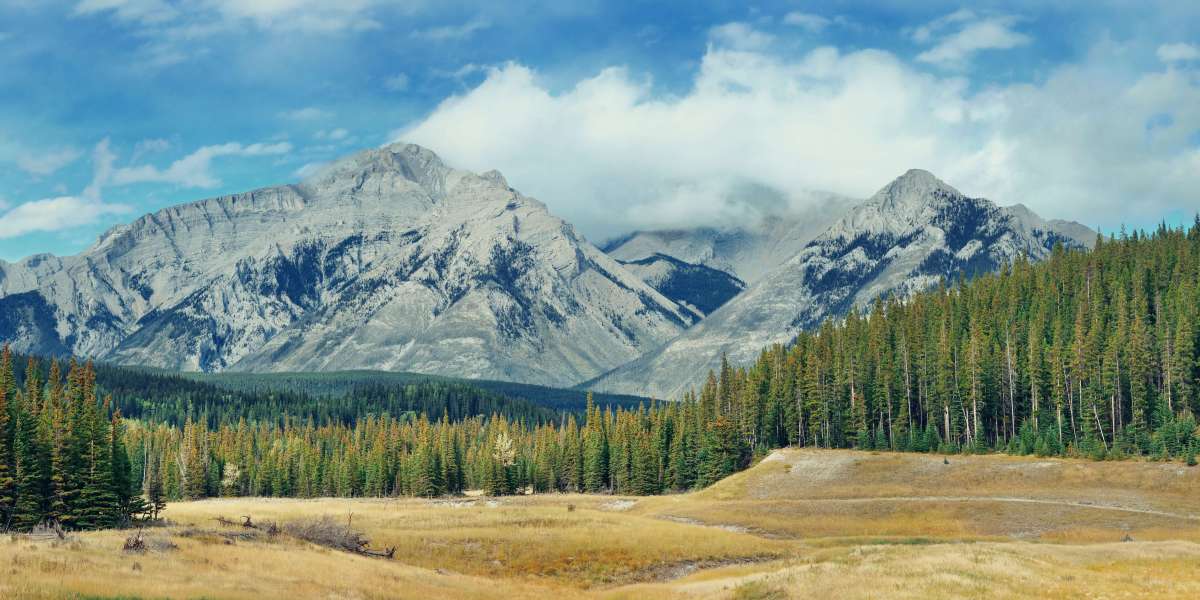 Yoho National Park Tours – Discover Canada’s Untamed Wilderness with Vista Chase