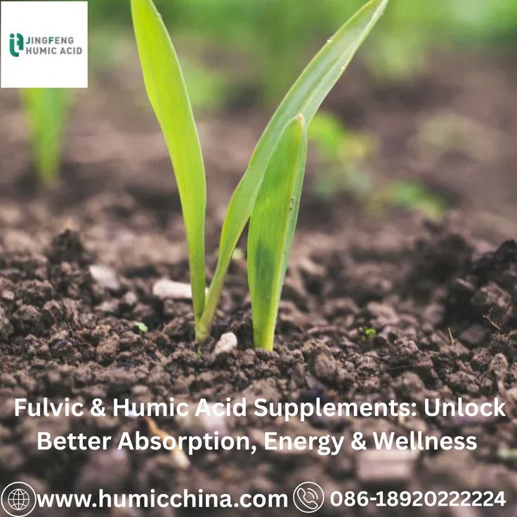 Pin on JINGFENG HUMIC ACID