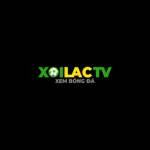 moroccancamcom lua dao nguoi dung