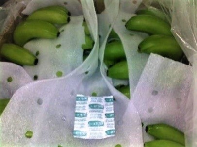 Bioxtend: Innovative Ethylene Control Solutions For Fresher Produce. - Rutherford Voice