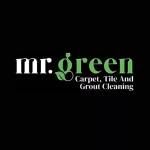 Mr Green Cleaning