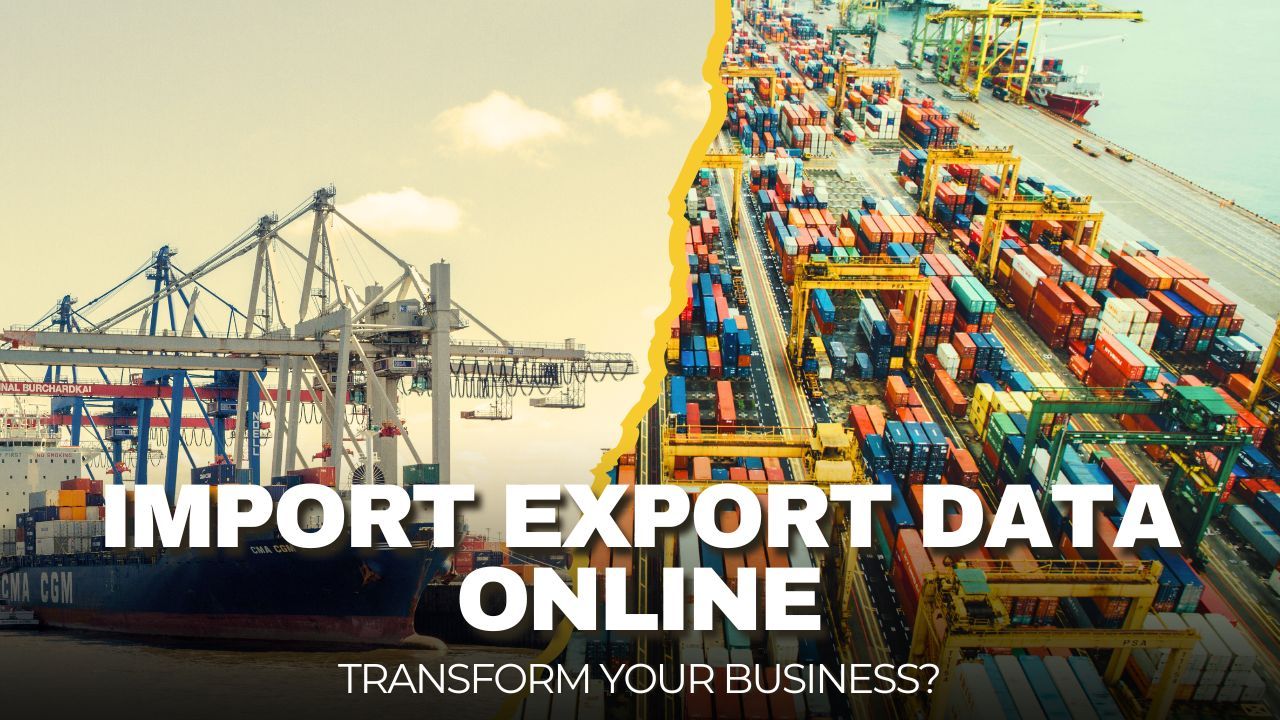 Sofia-Exim-Blogs — How Can Import Export Data Online Transform Your...