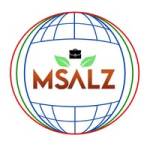 Msalz salt