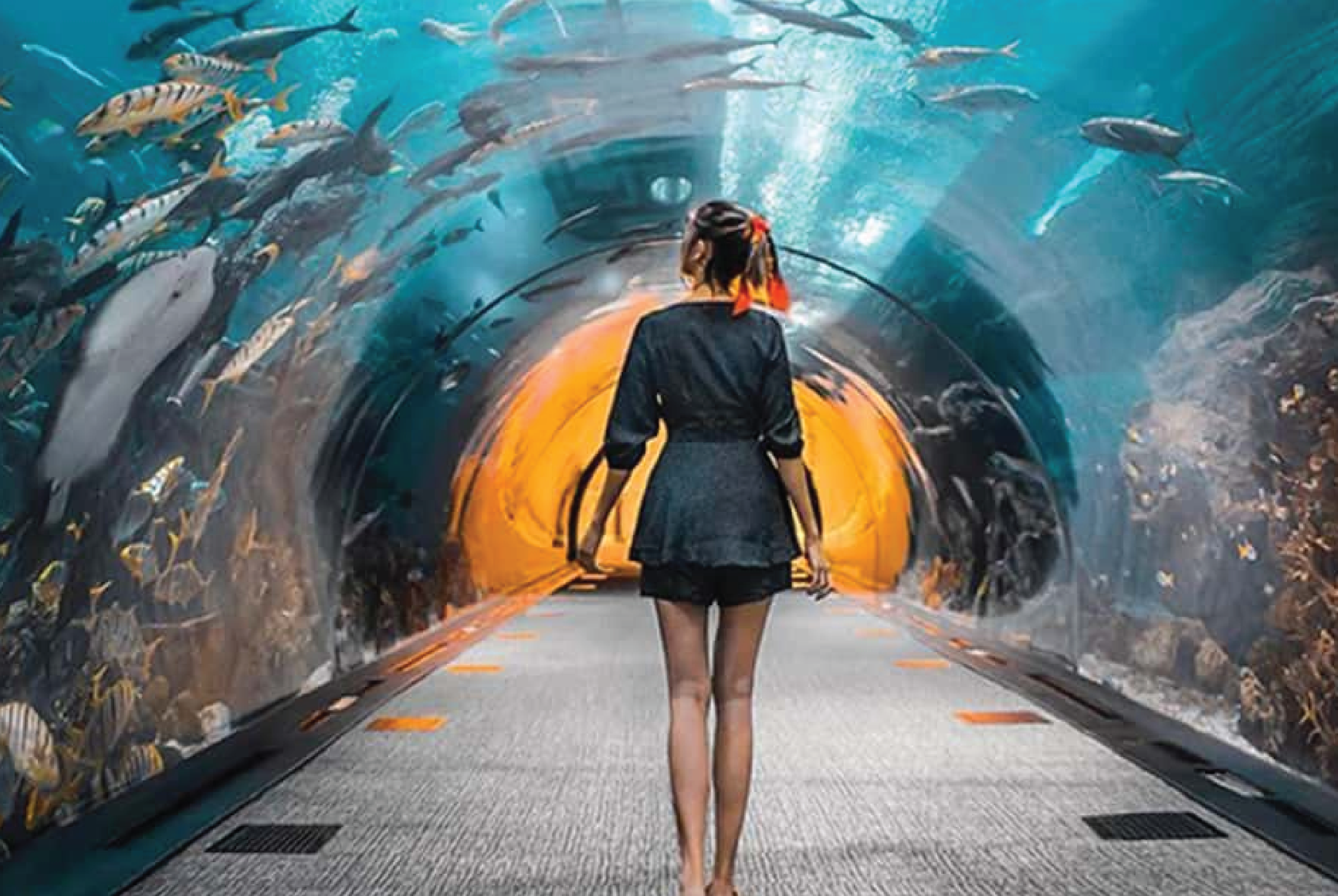 Dubai Aquarium & Underwater Zoo Tickets | MEV Tours Dubai