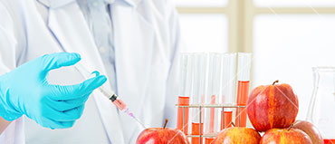 Rapid Food Safety Testing Market Share, Forecast | Growth Analysis & Opportunities