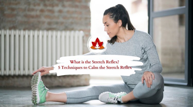 The Science of the Stretch Reflex and 5 Ways to Relax It