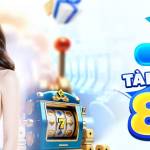 Fly88 gives