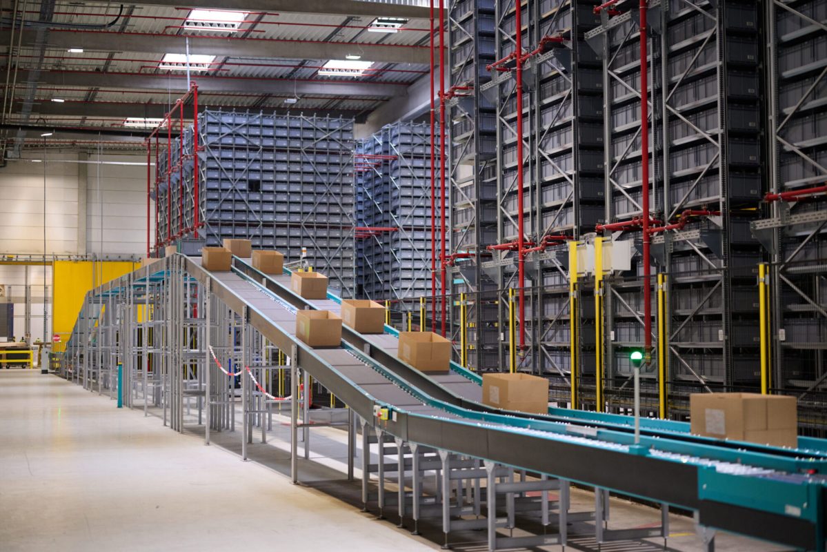 What Unique Role Does Automation Play in Food Manufacturing Processes? – Trending Info Hub