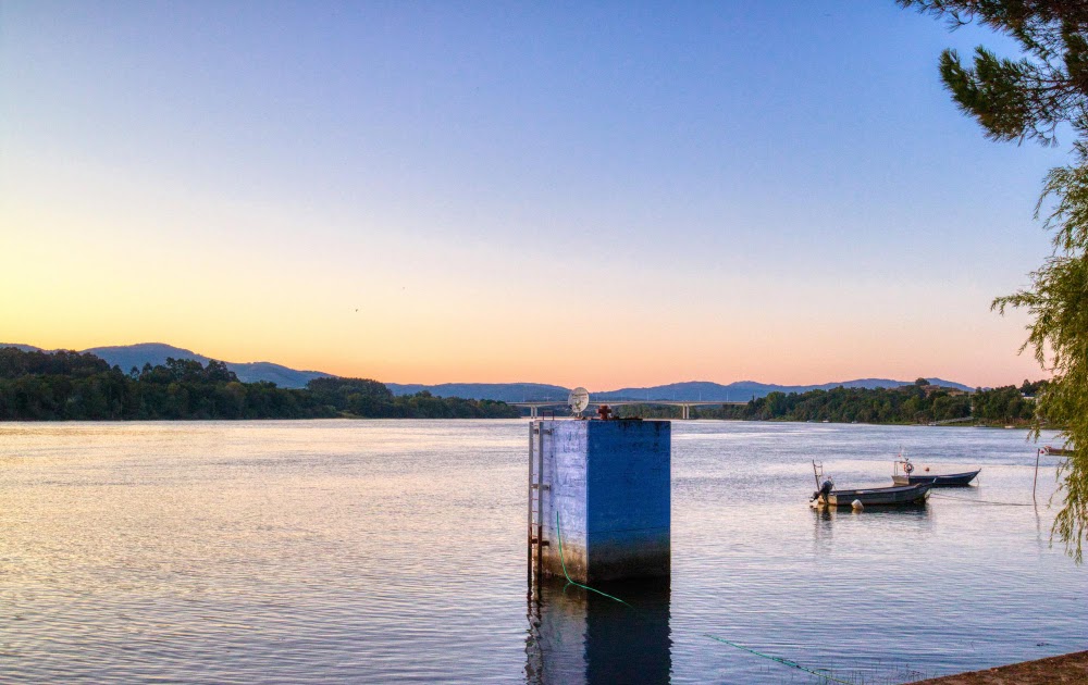 Essential Guide to Water Quality Testing Services in California